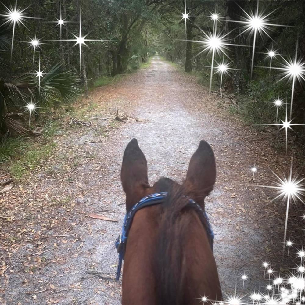 Meet your Posher, Lori